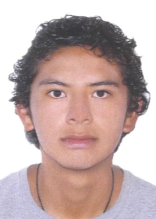 Reynaldo Jerry Amaya Rurush