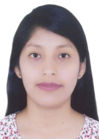 Rocio Gladys Huayapa Berrocal