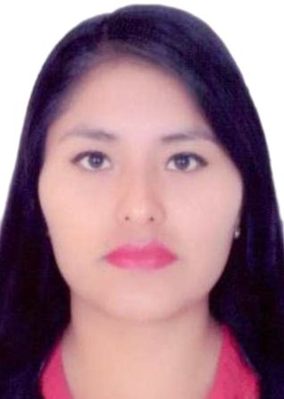 Rocio rosabel camarena limas