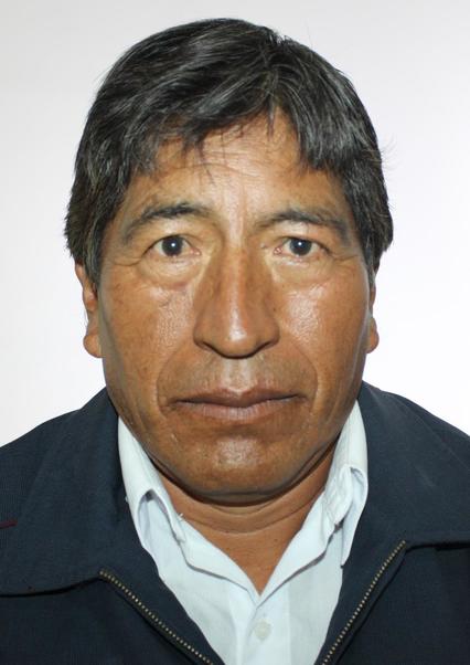 Roman cahuina parqui