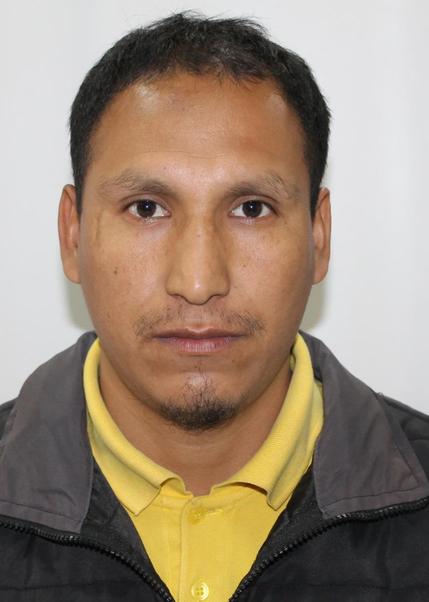 Ronal Insfranz Huamani Alvarado