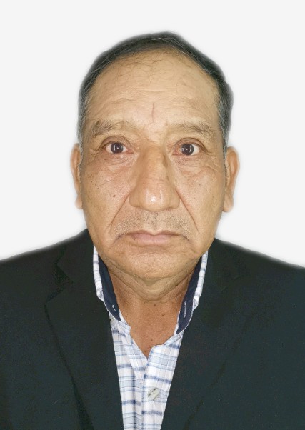 Ronaldo Ricardo Soto Castro