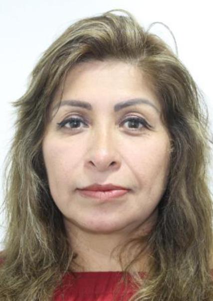 Rosa ana diaz barron