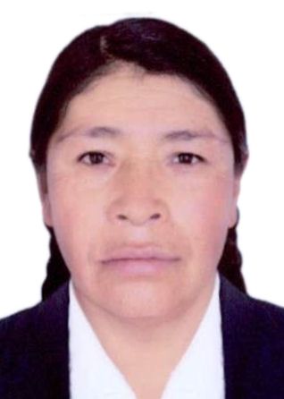 Rosa isabel supho ccallo