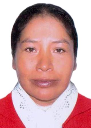 Rosalvina yanque apaza