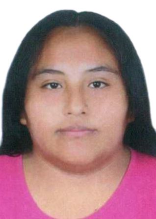 Rosaly johanna mendez yucra