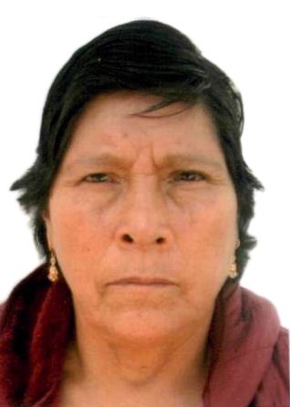 Secundina flores chaves