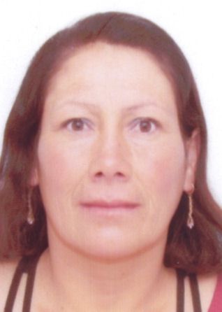 Segunda rosa arana martinez de perez
