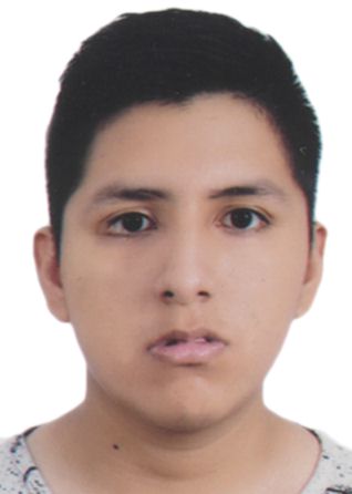 Sergio diego huanca figueroa