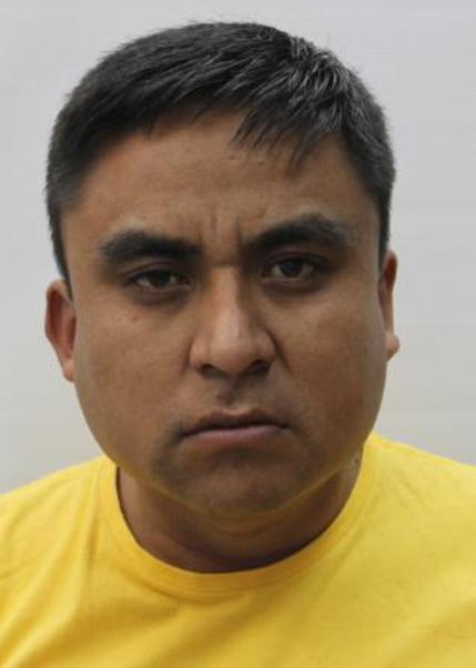 Sergio elisvan palomino velarde