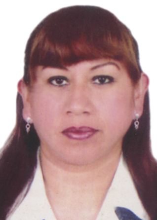 Silvia teodosia palomino taipe