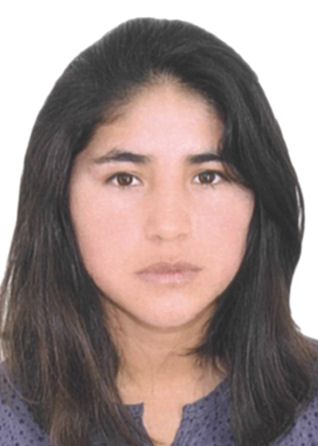 Soledad collado pauccara