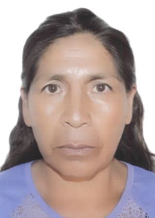 Sonia quispe carapi