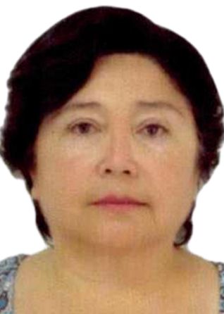 Sonia violeta mego flores