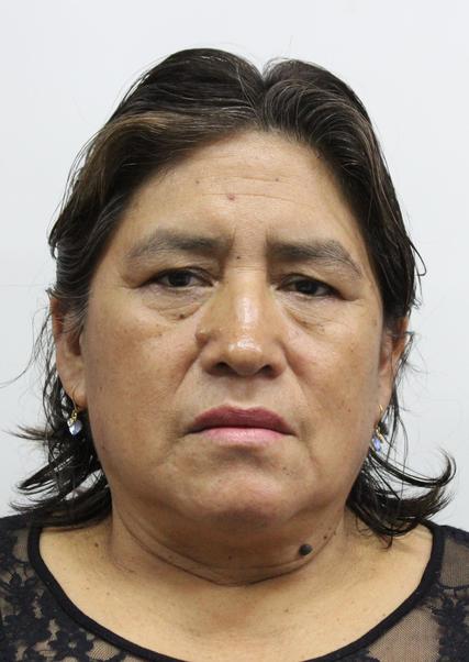 Teresa Picon Castro