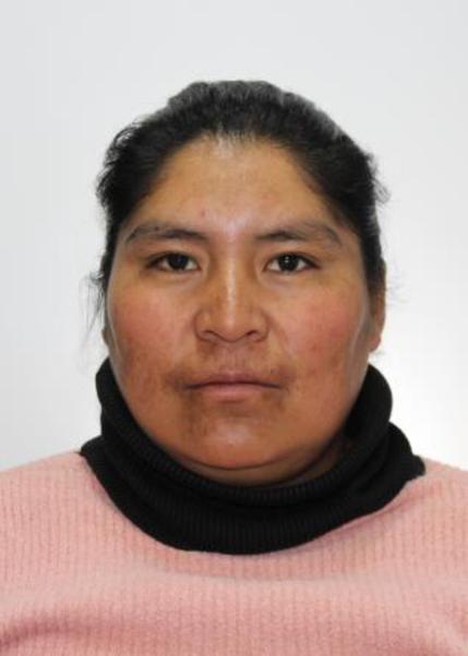 Viki hurtado lliuyacc