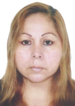 Vilma bravo chipa
