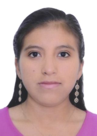 Yanira Pamela Toro Figueroa