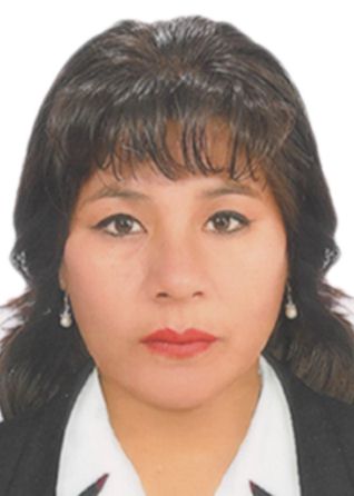 Yesely luisa vilca flores