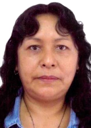 Yomeli Nelly Atamari Llamosas