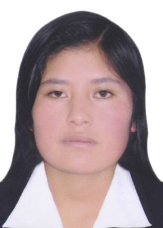 Zelmira Mamani Allasi