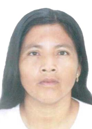 Zoila mili ampichi vargas