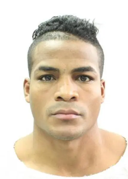 DAVID MARTIN
