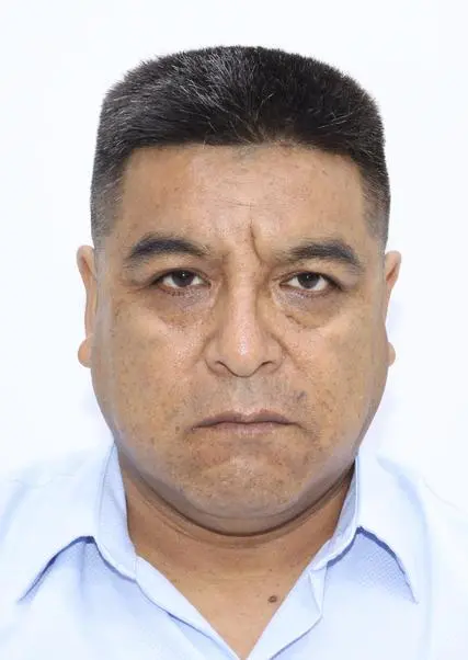 ALCIDES PAULINO
