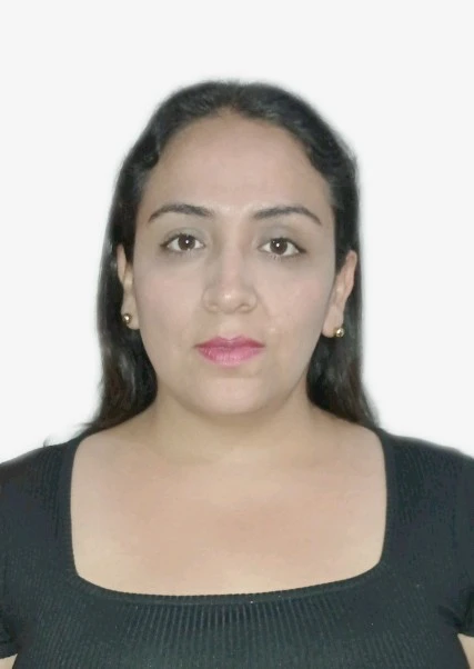 DINA JOHANNA